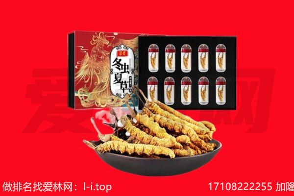 长治市屯留回收虫草.jpg